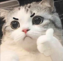 #東京反饋報告 彩花 ➡️ #反饋報告